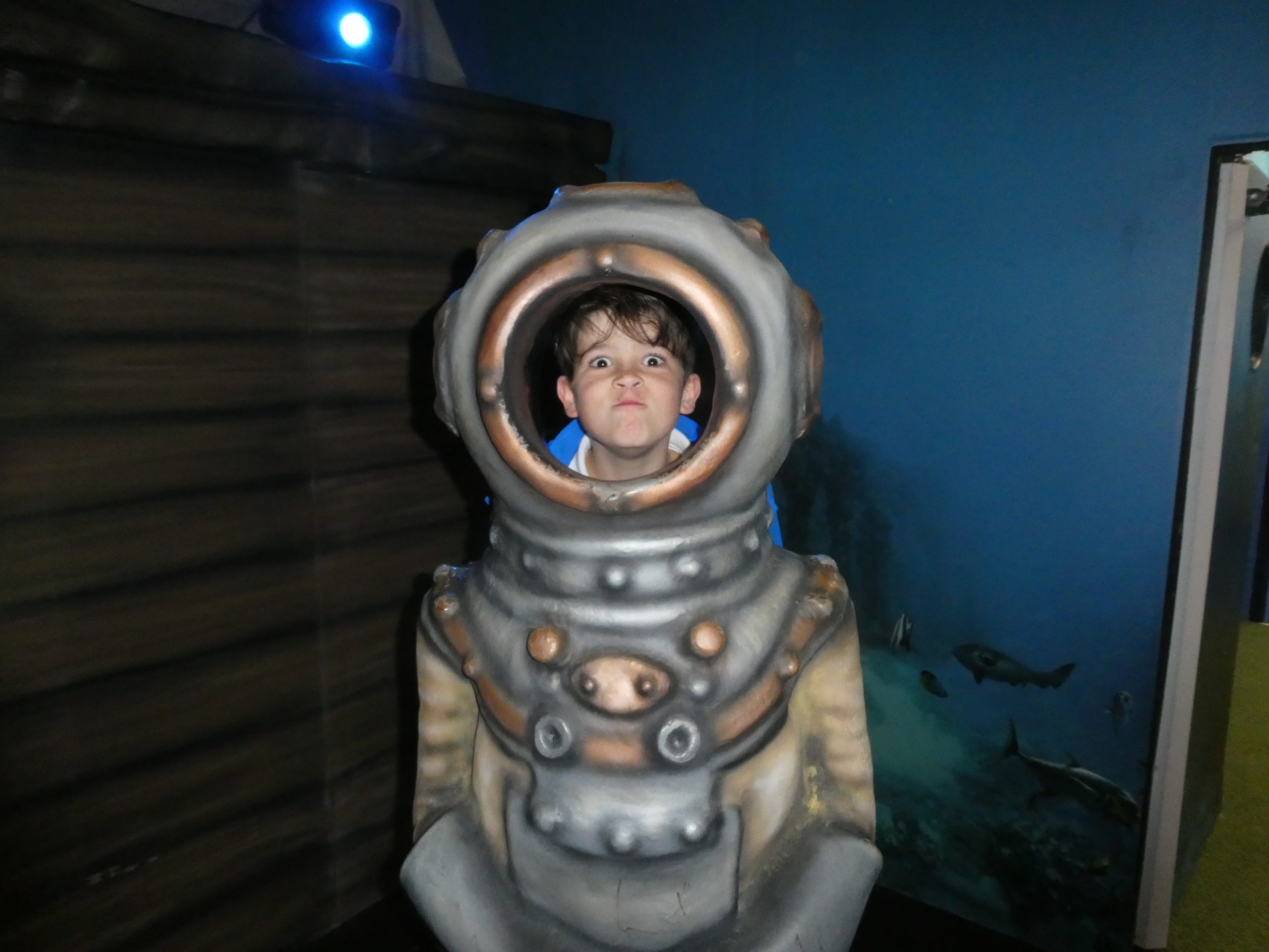 Bleasdale class dive into the Sealife centre.