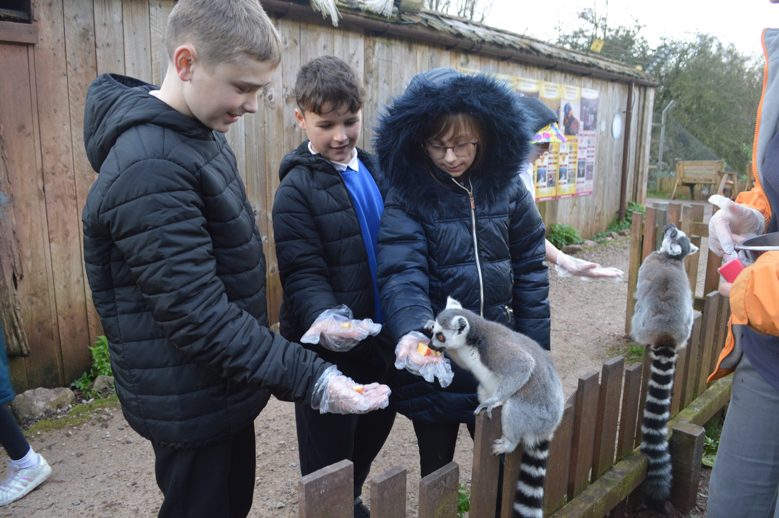 South Lakes Zoo – November 7th 2023