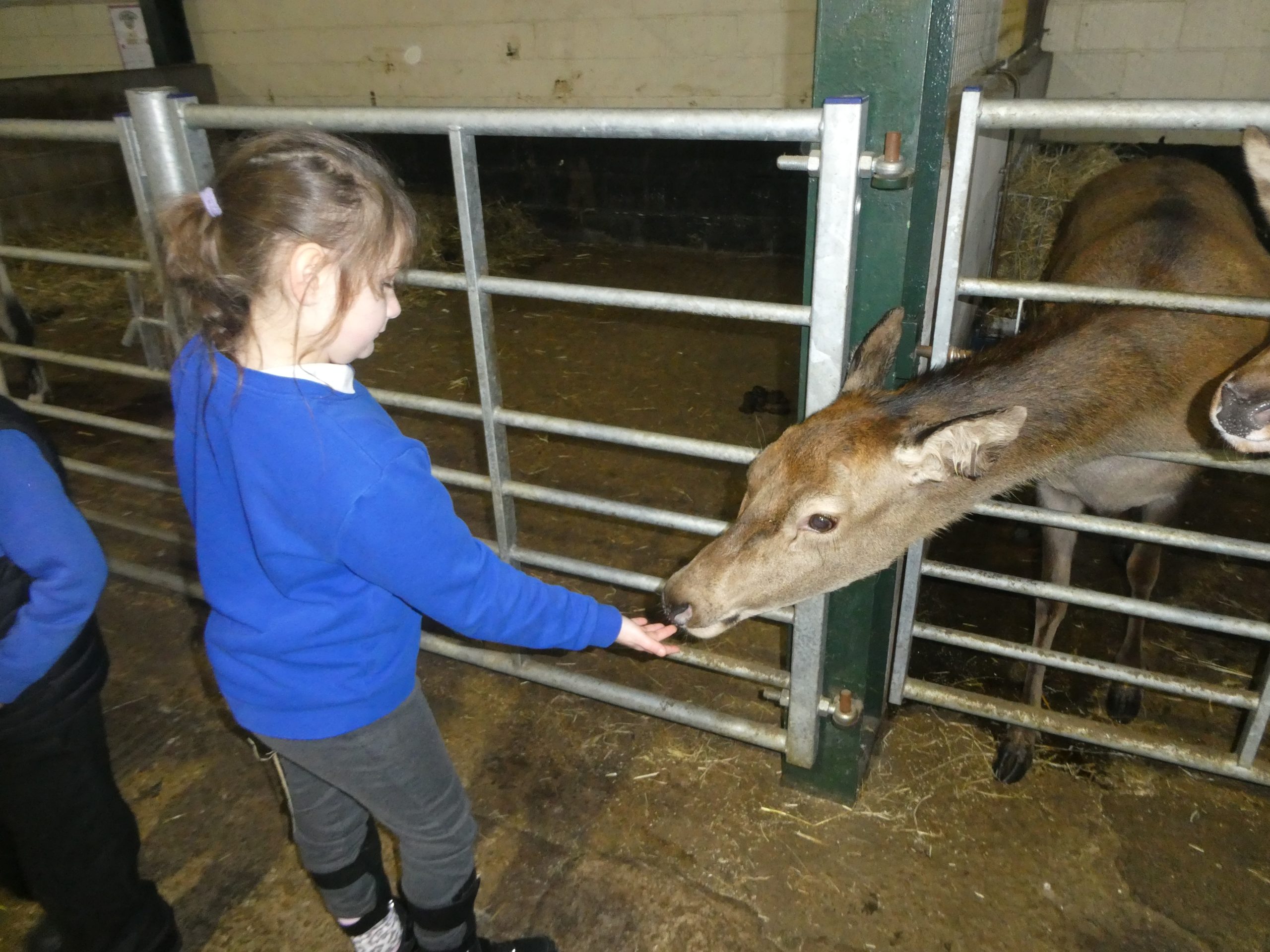 Fantastic farming at Farmer Parrs