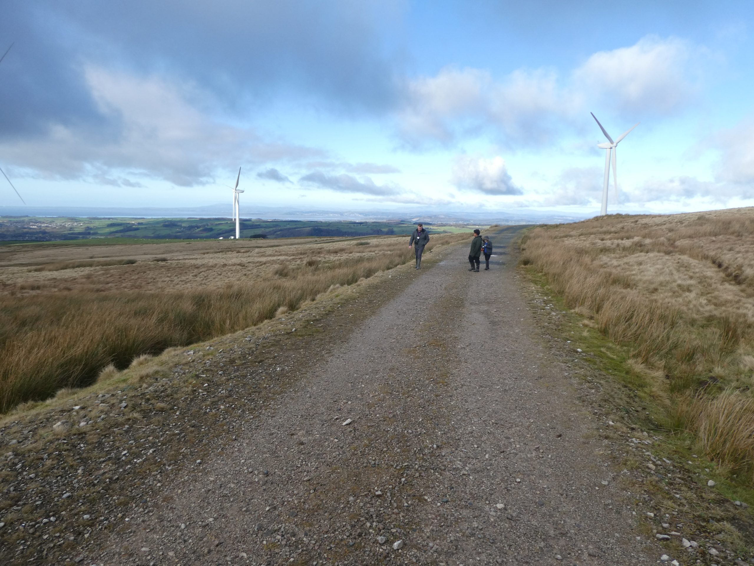 Caton moor wind farms