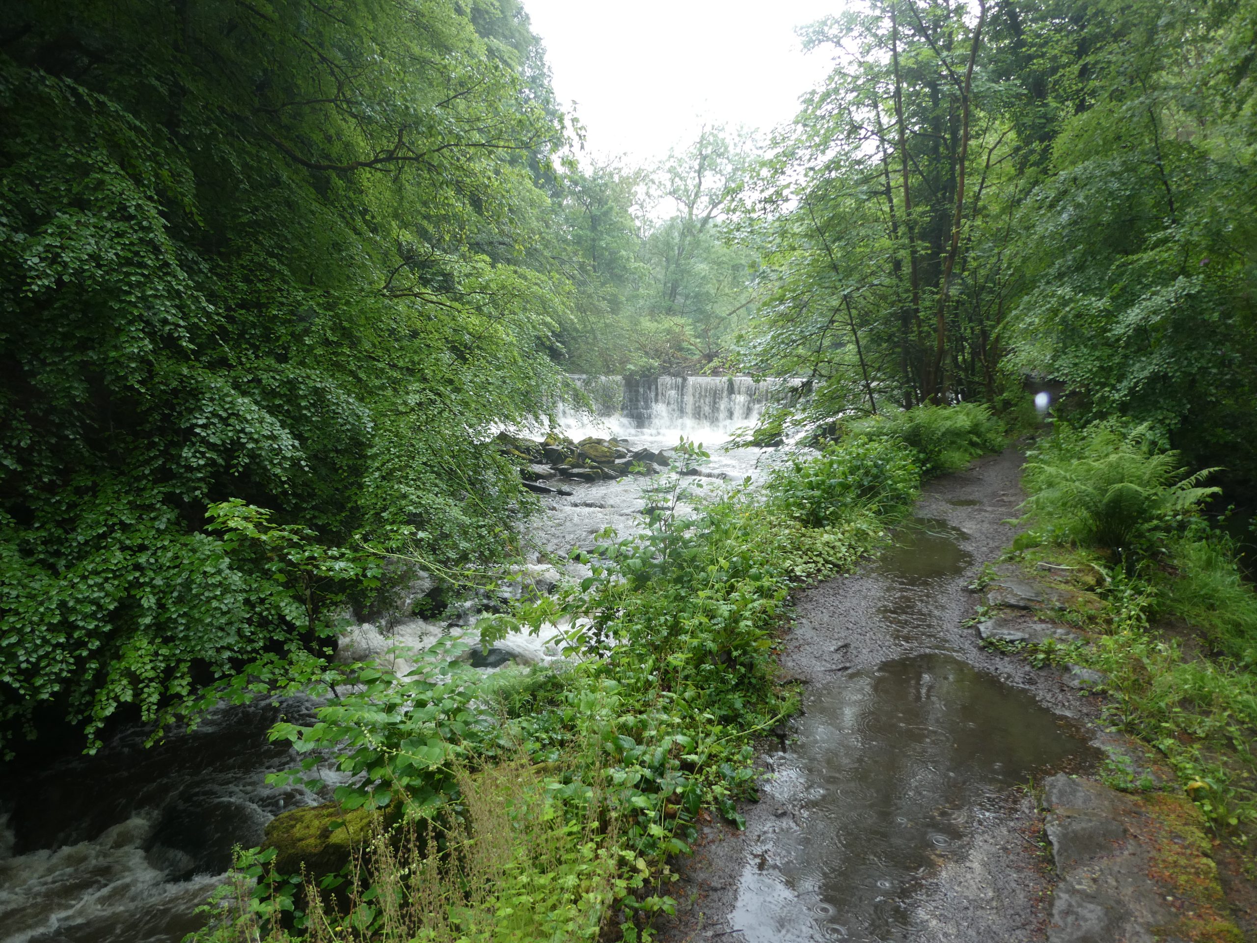 Epic quest at a rainy Hoghton bottoms