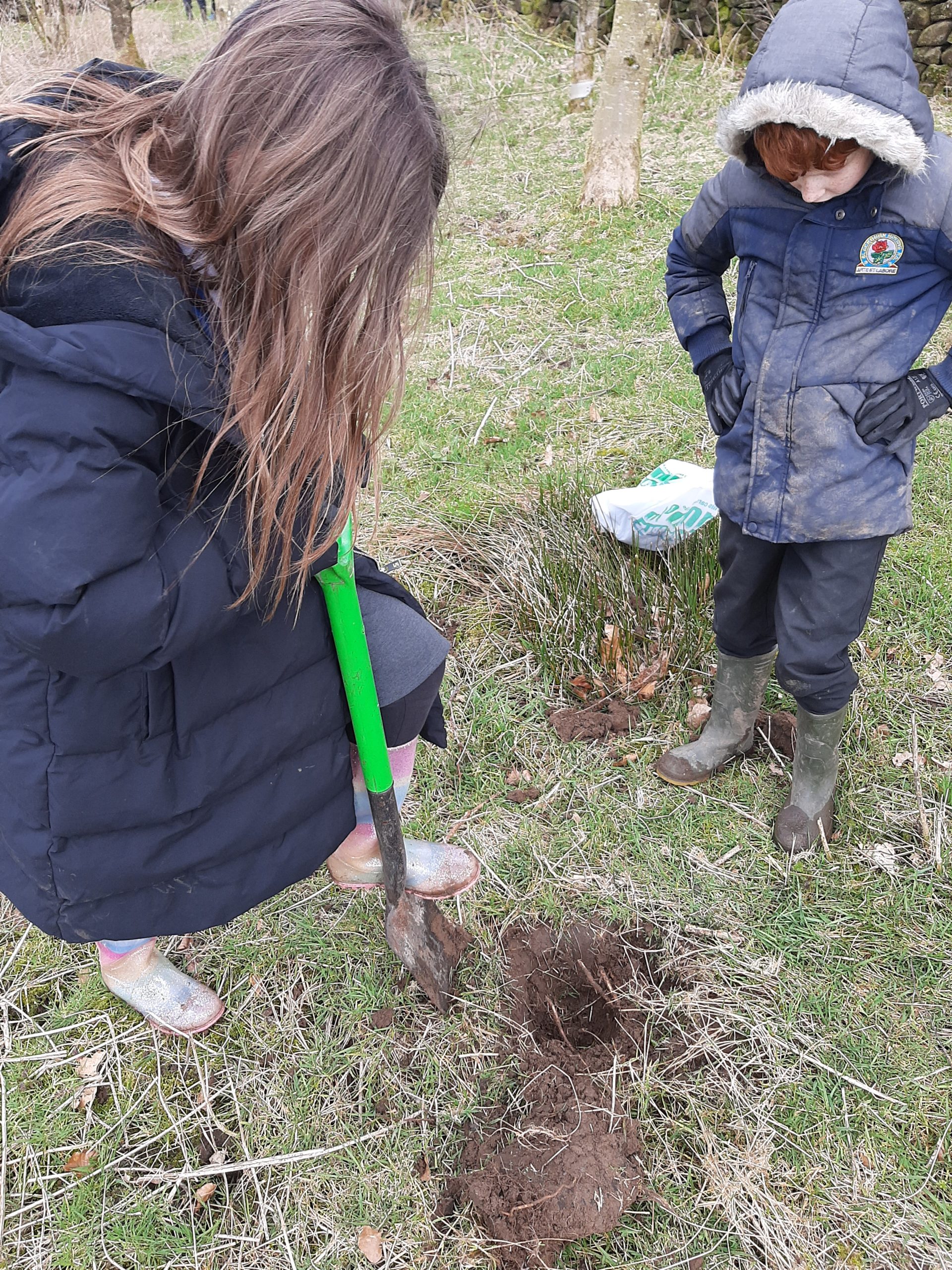 Plant nutriton at Rainford wood. 14.03.2025
