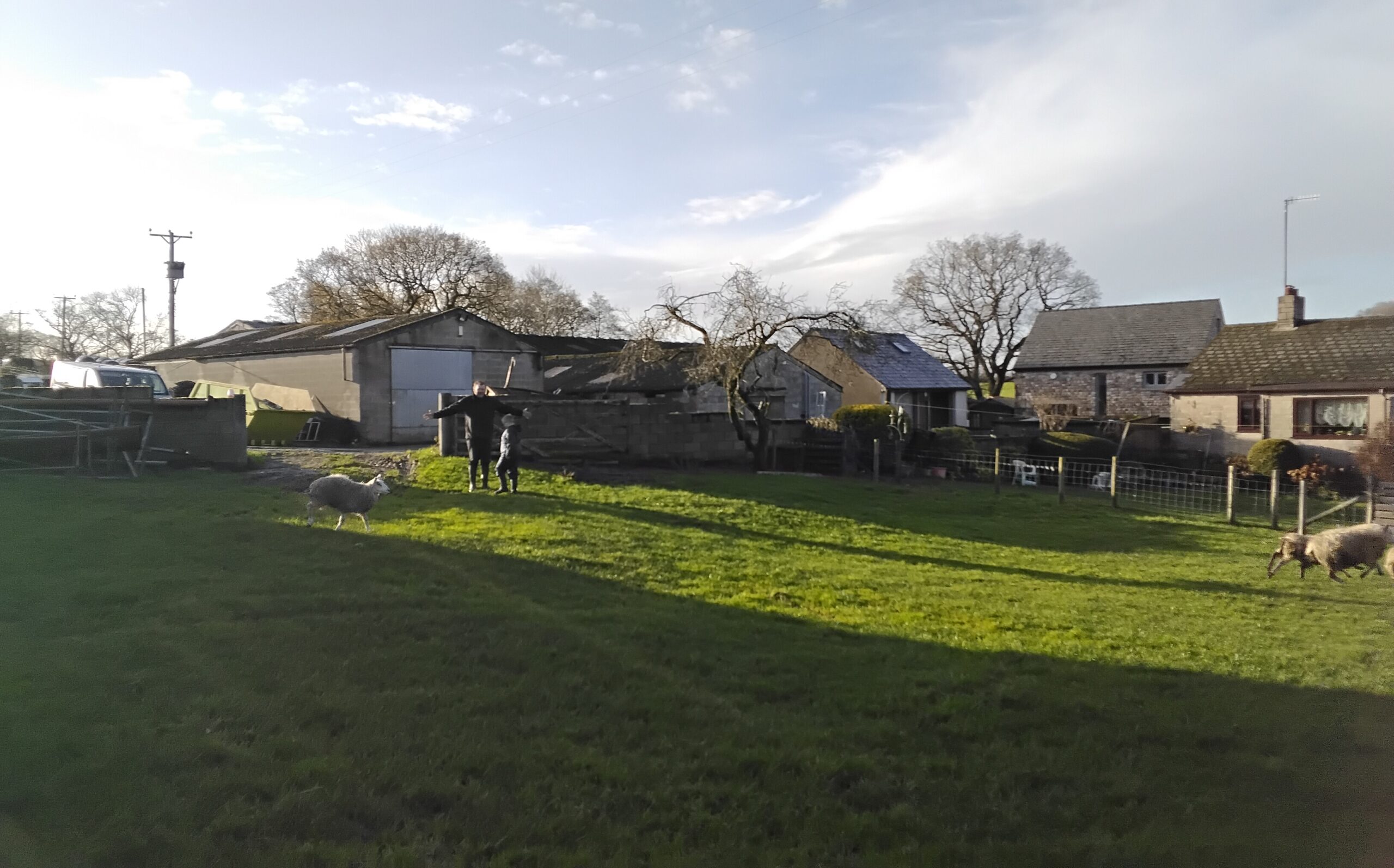 Wyresdale Dexter’s Farm – 2/12/25