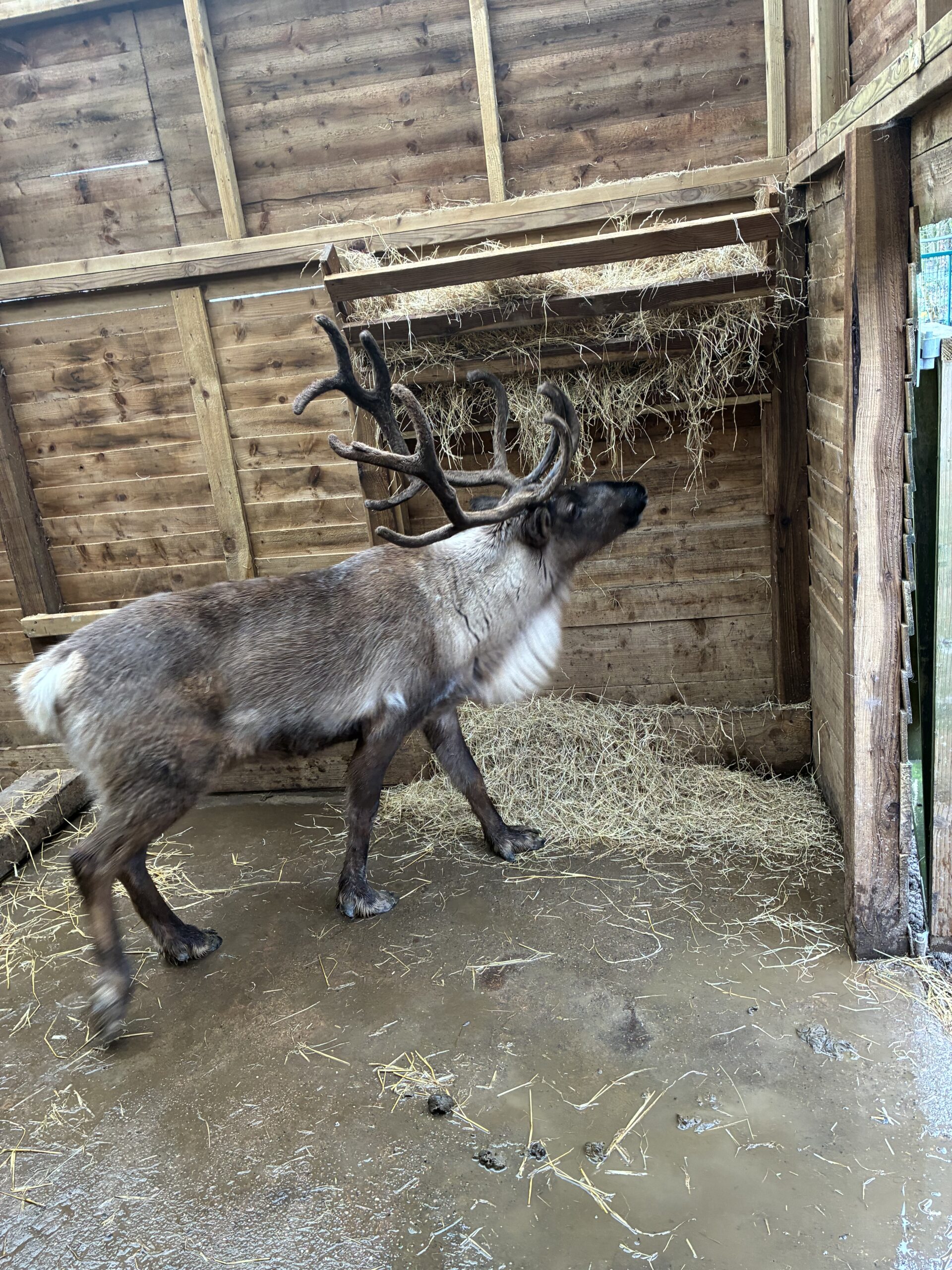 26/11/25 – Ribby Hall Zoo