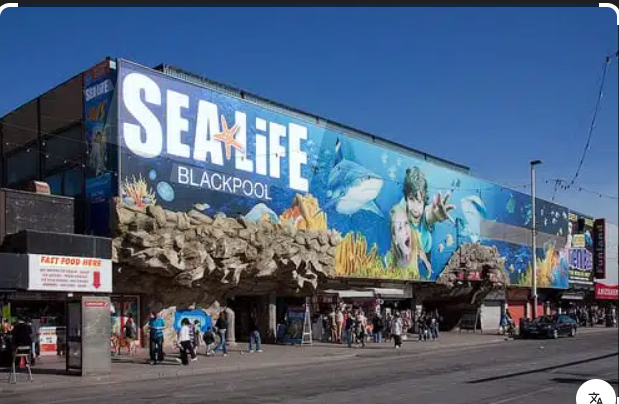 13/01/26 – Blackpool Sea Life Centre