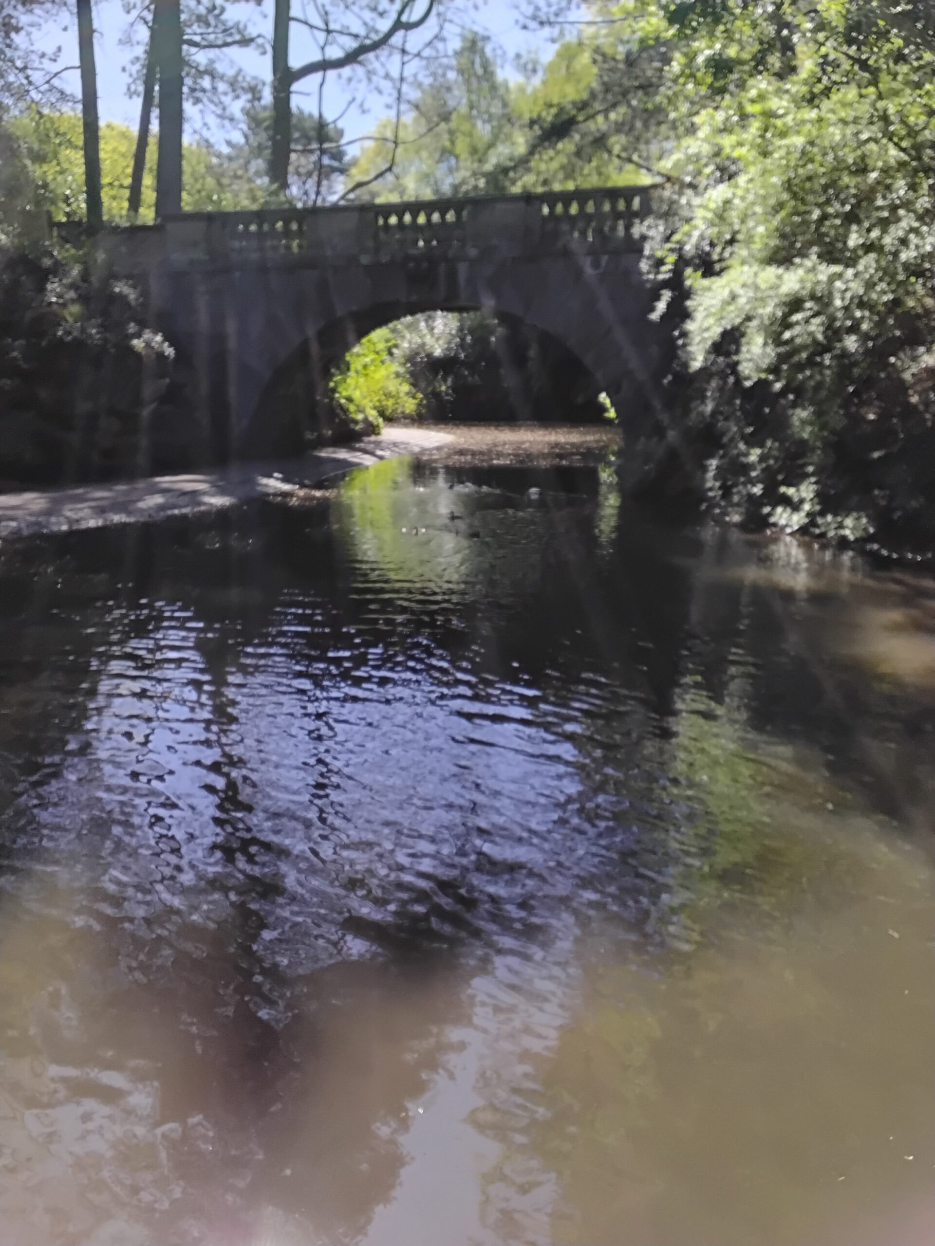 29.4.26 – Williamson’s Park