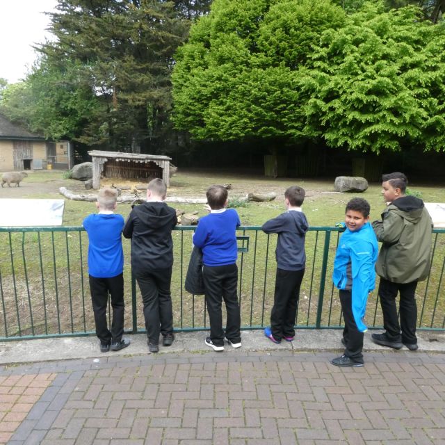 As part of the tropical rainforest topic this half term Bleasdale class spent the day at Blackpool zoo.